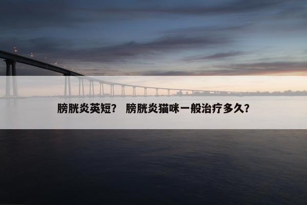 膀胱炎英短？ 膀胱炎猫咪一般治疗多久？