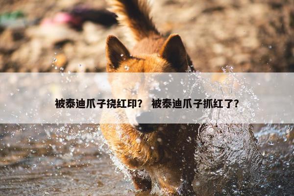 被泰迪爪子挠红印？ 被泰迪爪子抓红了？