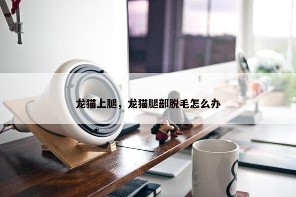 龙猫上腿，龙猫腿部脱毛怎么办