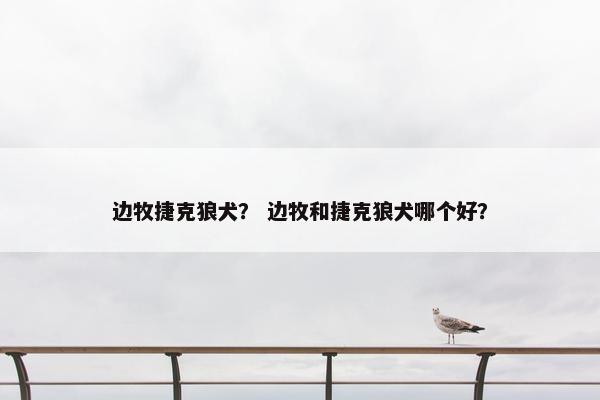 边牧捷克狼犬？ 边牧和捷克狼犬哪个好？