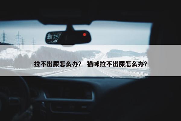 拉不出屎怎么办？ 猫咪拉不出屎怎么办？
