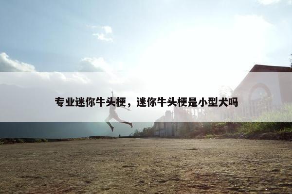 专业迷你牛头梗，迷你牛头梗是小型犬吗