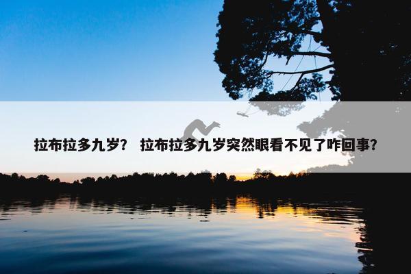 拉布拉多九岁？ 拉布拉多九岁突然眼看不见了咋回事？