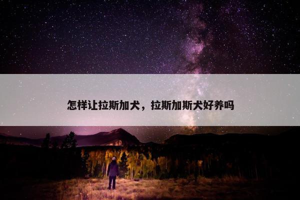 怎样让拉斯加犬，拉斯加斯犬好养吗