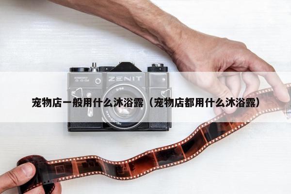 宠物店一般用什么沐浴露（宠物店都用什么沐浴露）
