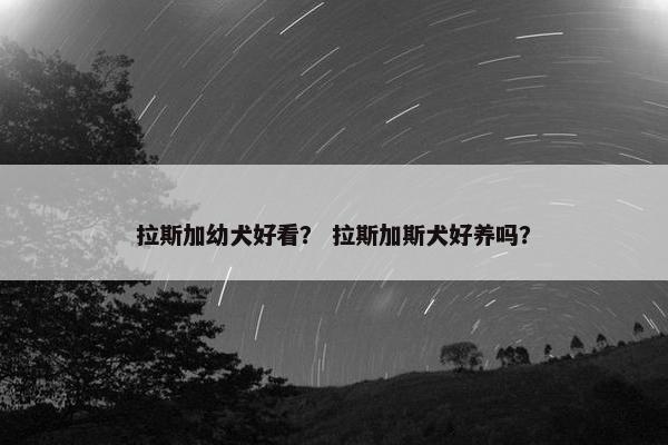拉斯加幼犬好看？ 拉斯加斯犬好养吗？