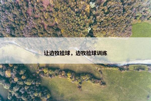 让边牧捡球，边牧捡球训练