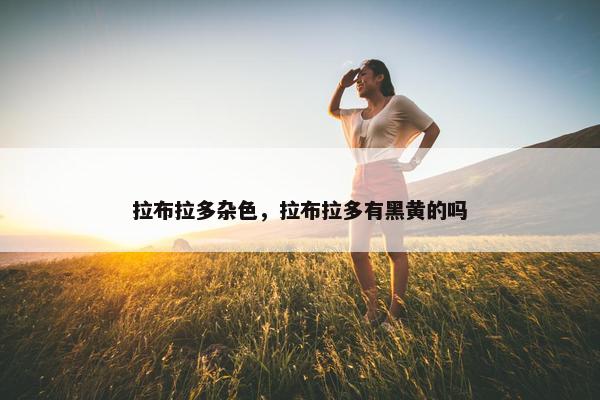 拉布拉多杂色，拉布拉多有黑黄的吗