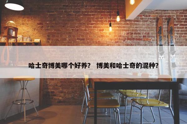 哈士奇博美哪个好养？ 博美和哈士奇的混种？