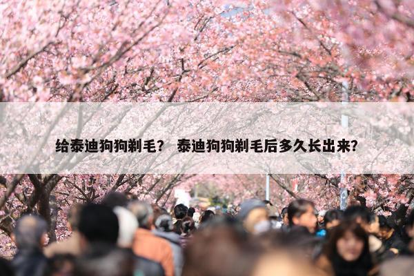 给泰迪狗狗剃毛？ 泰迪狗狗剃毛后多久长出来？