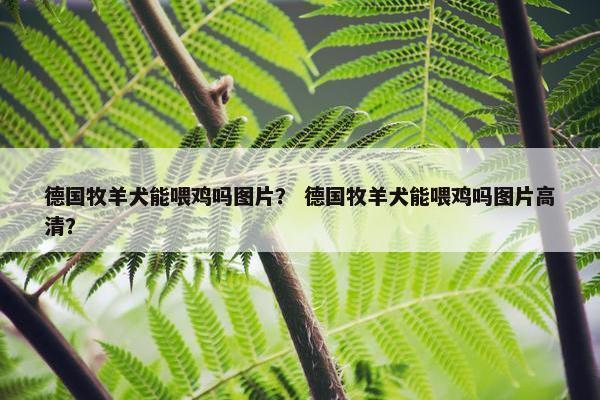 德国牧羊犬能喂鸡吗图片？ 德国牧羊犬能喂鸡吗图片高清？