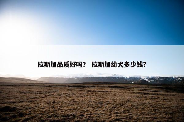 拉斯加品质好吗？ 拉斯加幼犬多少钱？