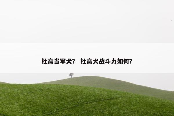杜高当军犬？ 杜高犬战斗力如何？