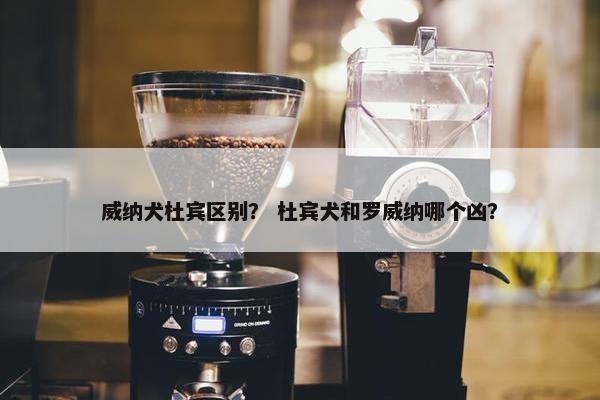 威纳犬杜宾区别？ 杜宾犬和罗威纳哪个凶？