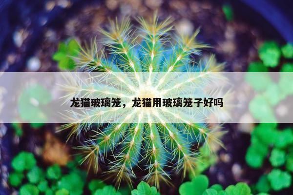 龙猫玻璃笼，龙猫用玻璃笼子好吗