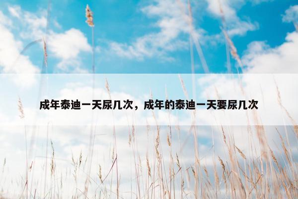 成年泰迪一天尿几次，成年的泰迪一天要尿几次