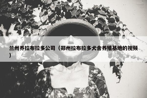 兰州养拉布拉多公司（郑州拉布拉多犬舍养殖基地的视频）