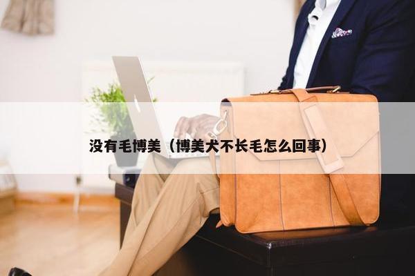 没有毛博美（博美犬不长毛怎么回事）