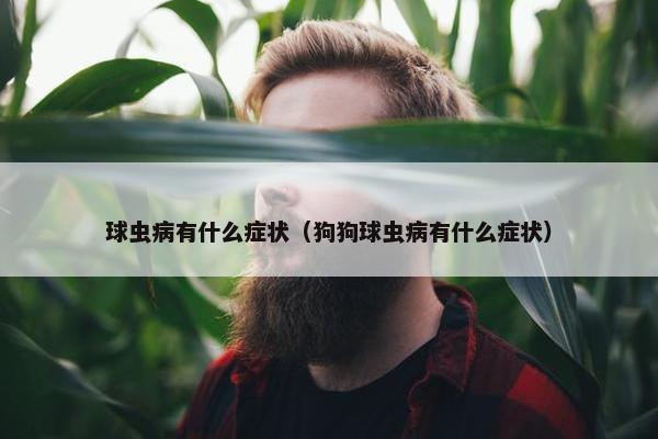 球虫病有什么症状（狗狗球虫病有什么症状）