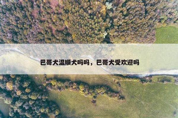 巴哥犬温顺犬吗吗，巴哥犬受欢迎吗
