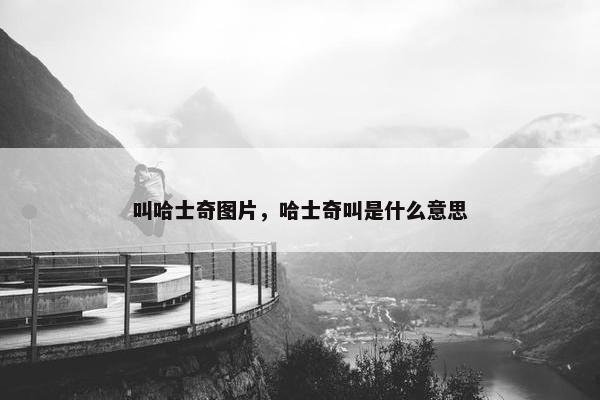 叫哈士奇图片，哈士奇叫是什么意思