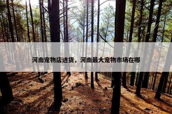 河南宠物店进货，河南最大宠物市场在哪