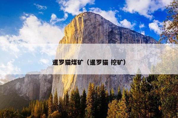 暹罗猫煤矿（暹罗猫 挖矿）