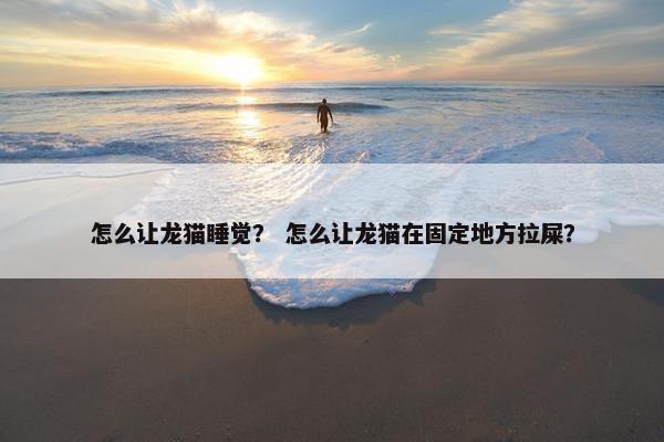 怎么让龙猫睡觉？ 怎么让龙猫在固定地方拉屎？