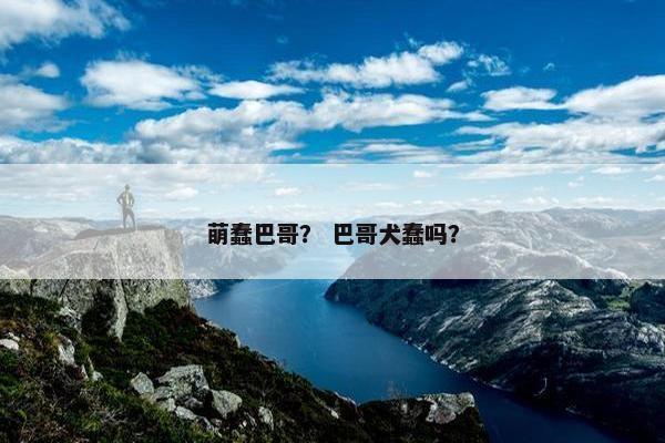 萌蠢巴哥？ 巴哥犬蠢吗？