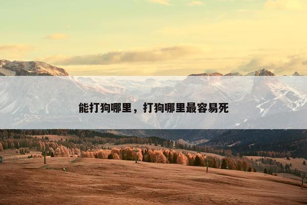 能打狗哪里，打狗哪里最容易死