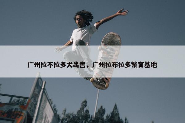 广州拉不拉多犬出售，广州拉布拉多繁育基地