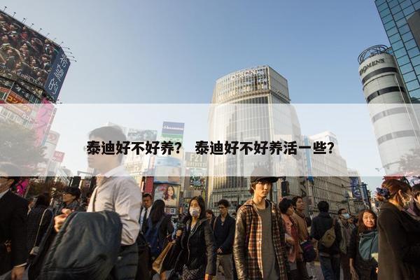 泰迪好不好养？ 泰迪好不好养活一些？