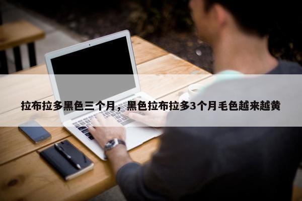 拉布拉多黑色三个月，黑色拉布拉多3个月毛色越来越黄