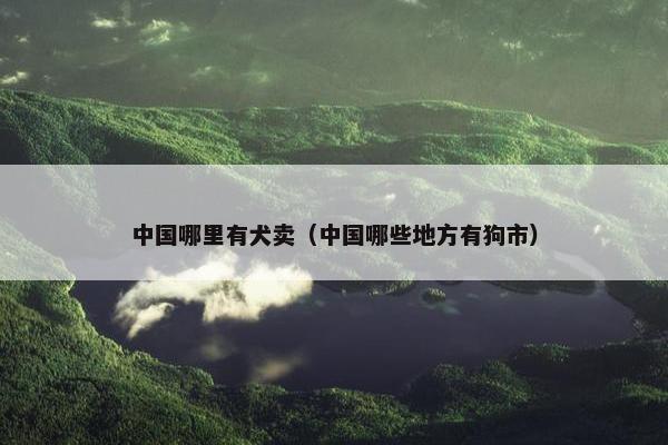 中国哪里有犬卖（中国哪些地方有狗市）