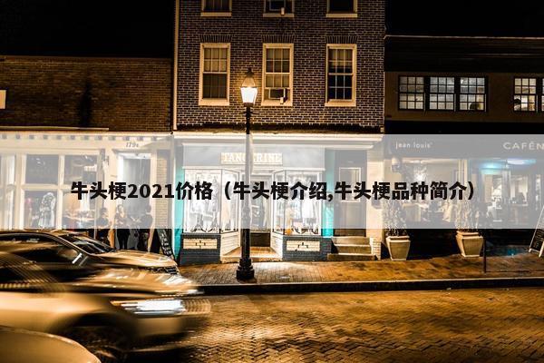 牛头梗2021价格（牛头梗介绍,牛头梗品种简介）