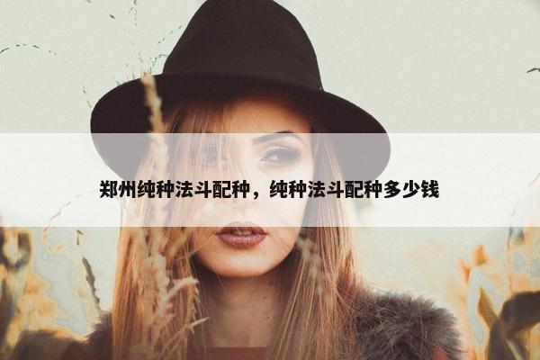 郑州纯种法斗配种，纯种法斗配种多少钱