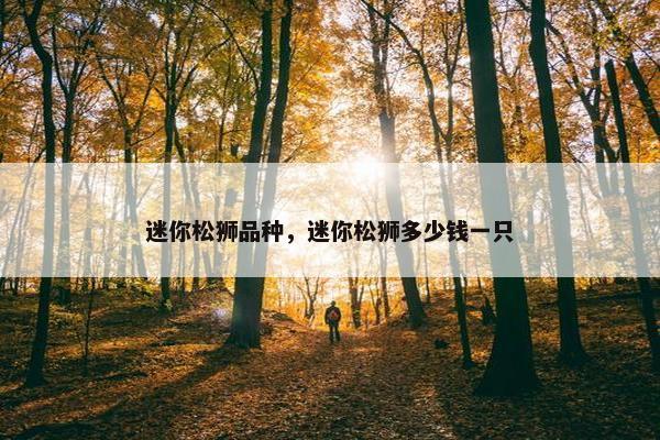 迷你松狮品种，迷你松狮多少钱一只