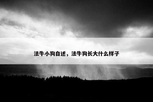 法牛小狗自述，法牛狗长大什么样子