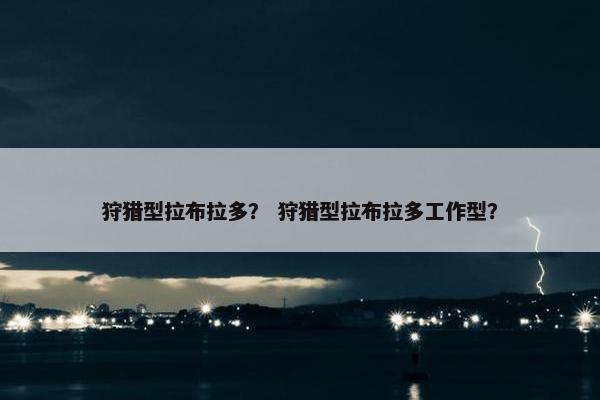 狩猎型拉布拉多？ 狩猎型拉布拉多工作型？