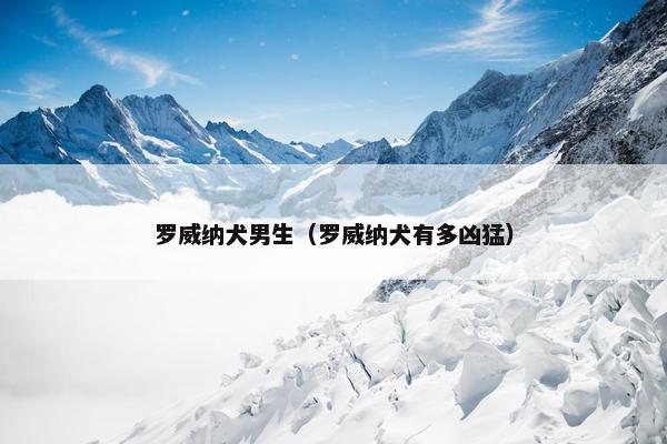 罗威纳犬男生（罗威纳犬有多凶猛）