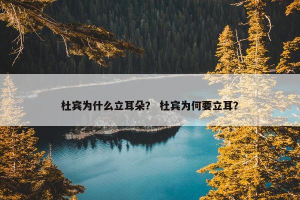 杜宾为什么立耳朵？ 杜宾为何要立耳？
