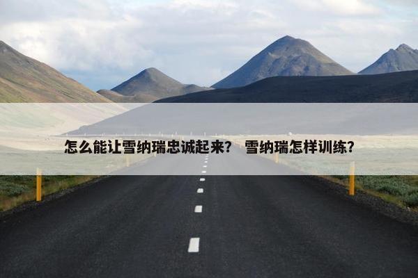 怎么能让雪纳瑞忠诚起来？ 雪纳瑞怎样训练？