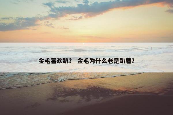 金毛喜欢趴？ 金毛为什么老是趴着？