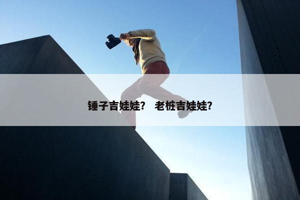 锤子吉娃娃？ 老桩吉娃娃？