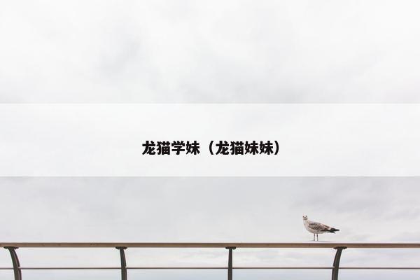 龙猫学妹（龙猫妹妹）