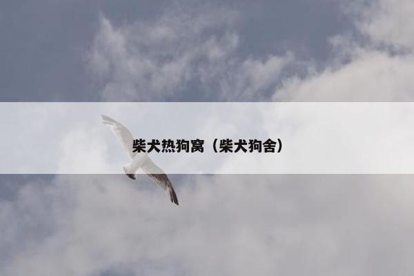 柴犬热狗窝（柴犬狗舍）