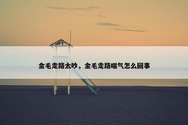 金毛走路太吵，金毛走路喘气怎么回事