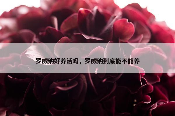 罗威纳好养活吗，罗威纳到底能不能养
