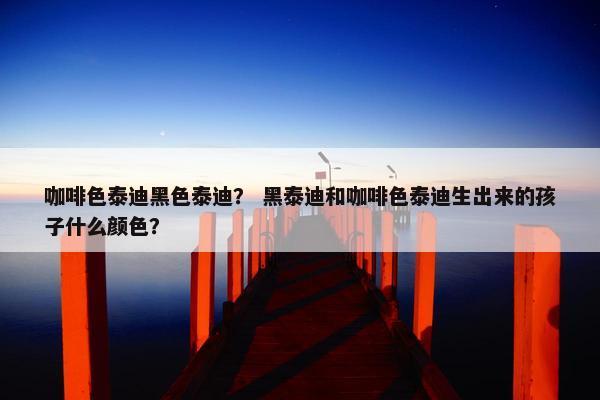 咖啡色泰迪黑色泰迪？ 黑泰迪和咖啡色泰迪生出来的孩子什么颜色？