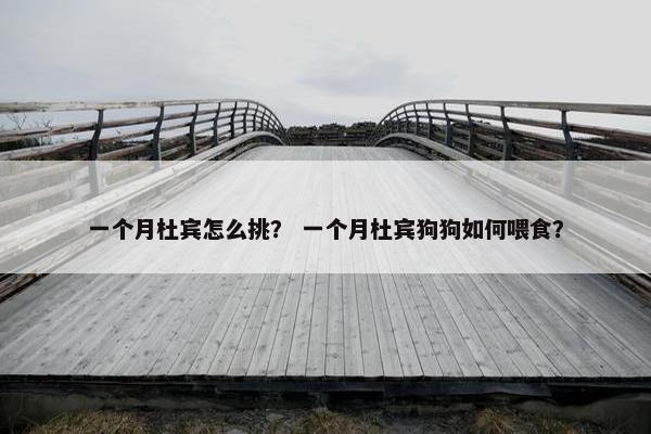 一个月杜宾怎么挑？ 一个月杜宾狗狗如何喂食？